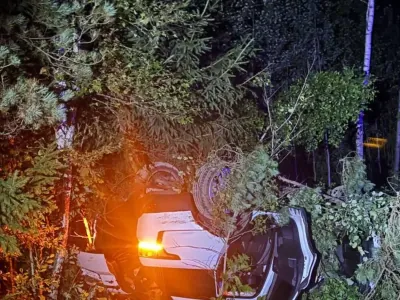 Land Rover столкнулся с лосем на трассе М1