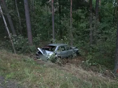 Мопед — в забор, Audi — в деревья: подробности двух ДТП в Брестской области