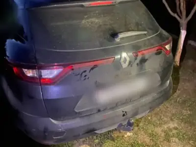 Под Брестом водитель Renault сбил пенсионерку и покинул место ДТП
