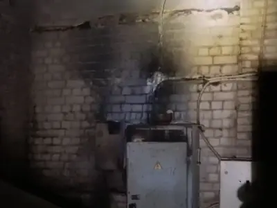 В Каменецком районе произошел пожар в цехе распиловки древесины