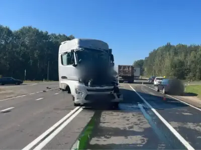 В Дрогичинском районе столкнулись фура и МАЗ