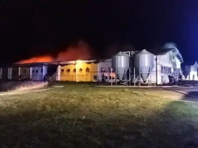 Ночью в Брестском районе загорелся птичник