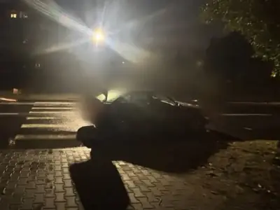 В Бресте 21-летний водитель Audi сбил женщину на пешеходном переходе