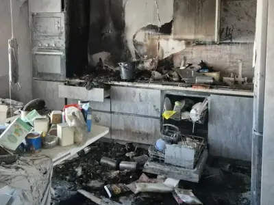 В Беларуси кошка устроила пожар — что известно