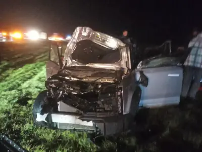 Стали известны подробности ДТП с лосем, попавшего на видео в Барановичском районе