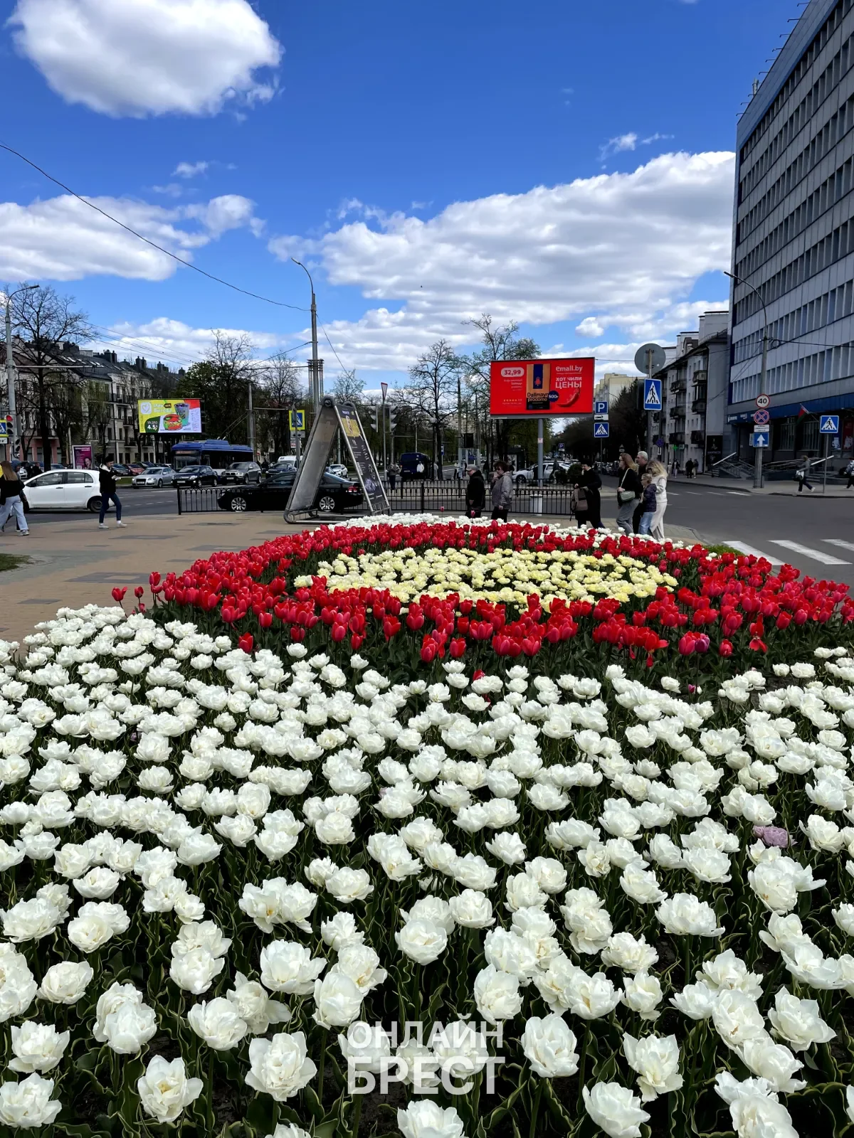 Вот такая красота в Бресте — видео от читательницы