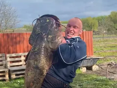 Читатель прислал нам видео своего улова — брестчанин вытащил сома-гиганта весом 40 кг!